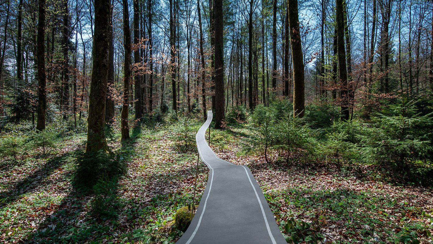 Neue Wege Wald Highlights