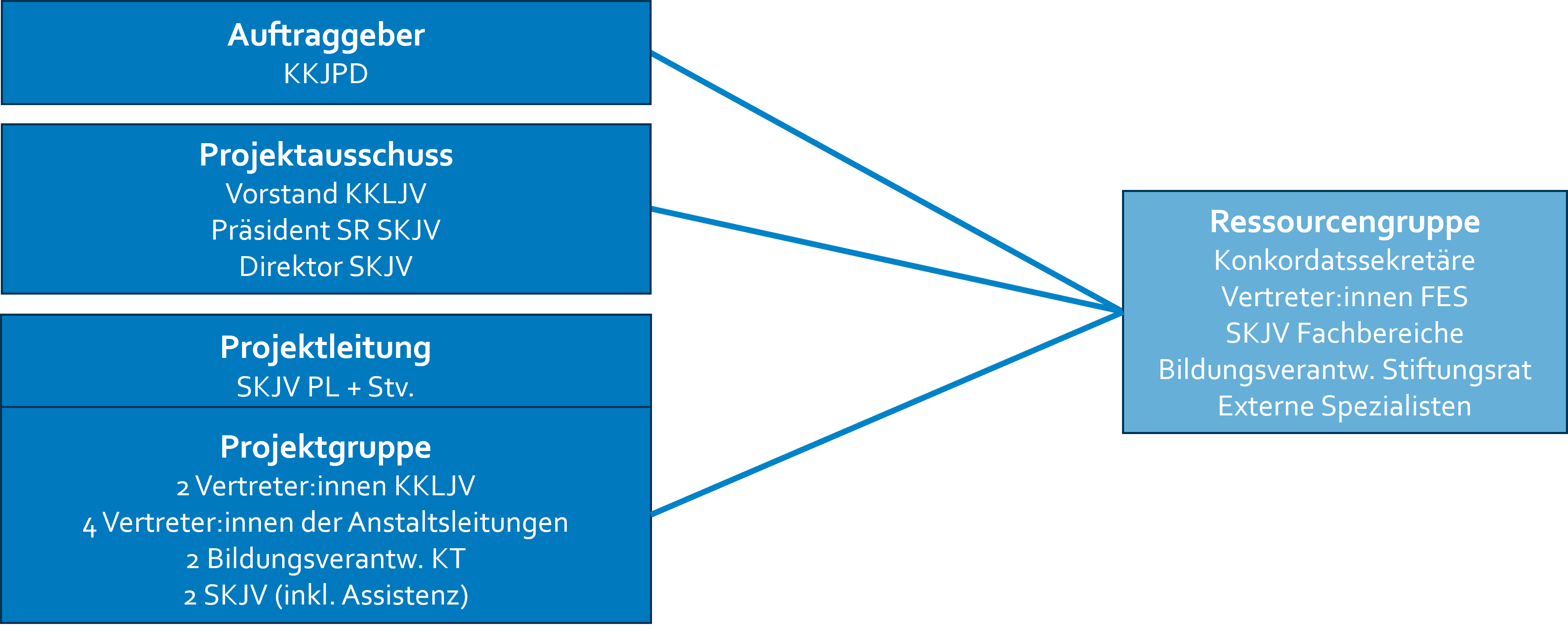 Projektorganisation