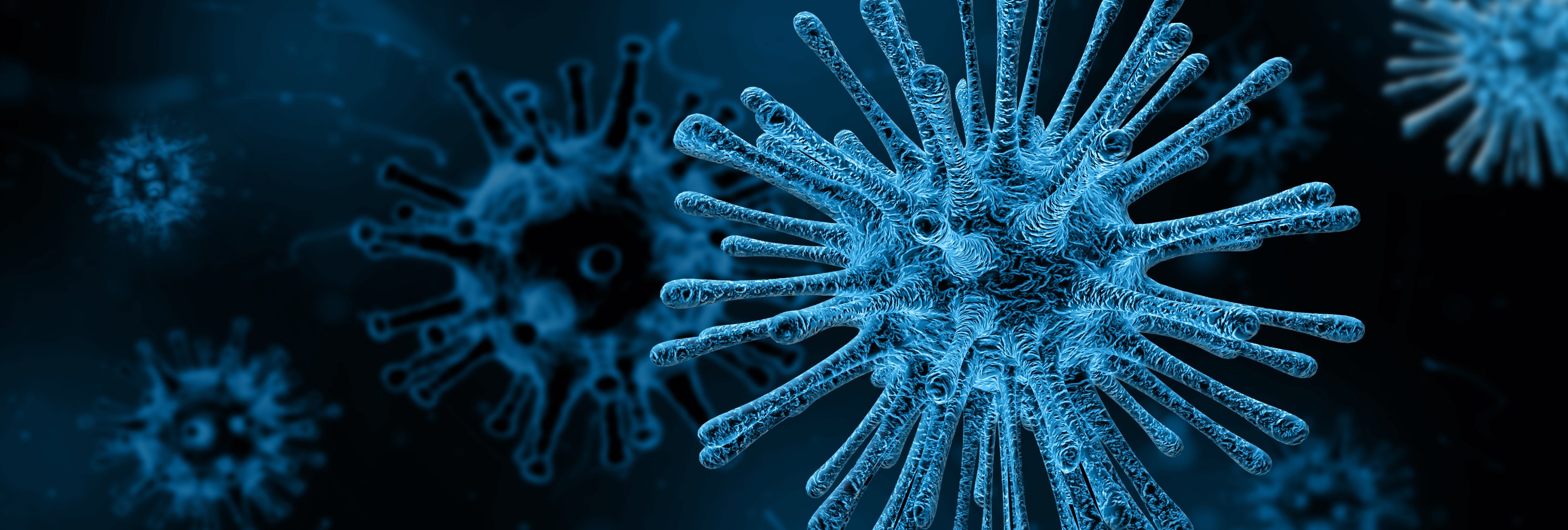 Informazioni Coronavirus